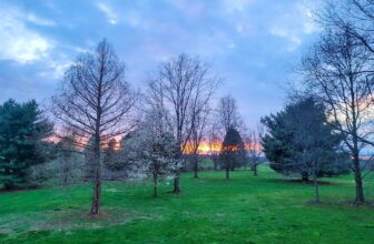 The Little Issues Publication #411 – Life, laughter, and many nice meals!